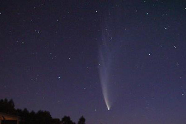 ����һ���޴���β�����ŵ������