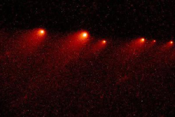 ��1994��ײ��ľ�ǵ���÷��-��ά9������