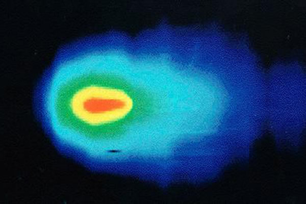 �����ƿ�����