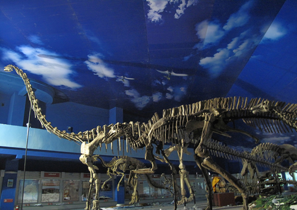 “白垩纪恐龙生活世界展”中正在行进的恐龙群