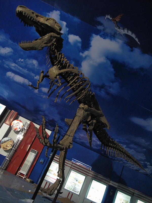 “白垩纪恐龙生活世界展”中凶猛残暴的诸城中国暴龙