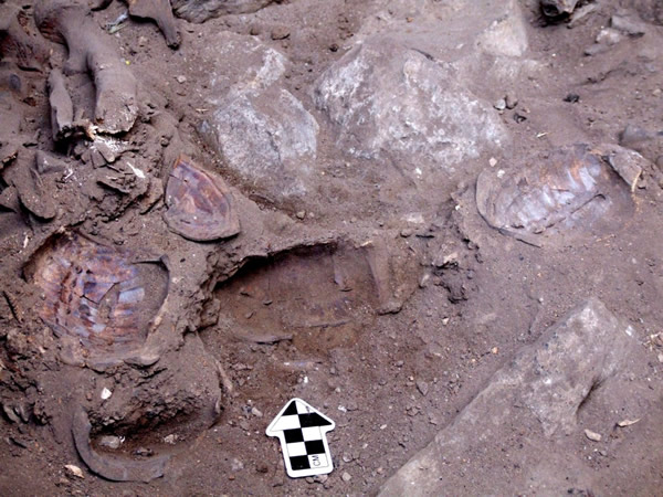 以色列发现可能是迄今所知最古老的巫师坟墓