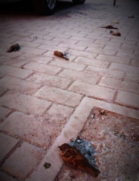 �Ͼ�������ȸ����