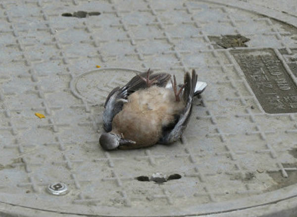 �Ͼ�������ȸ����