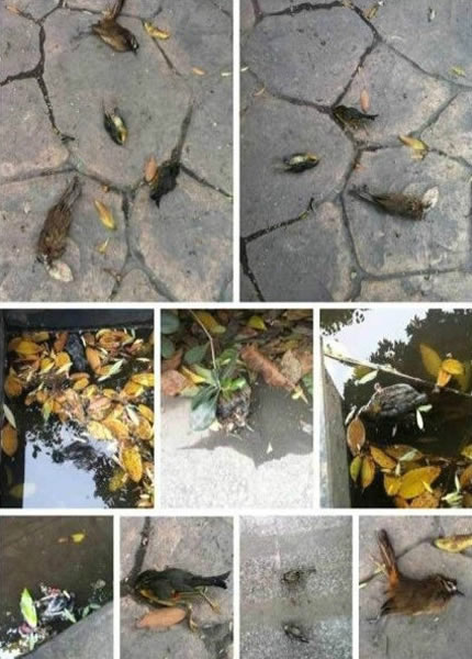 �Ͼ�������ȸ����