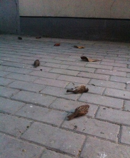 �Ͼ�������ȸ����