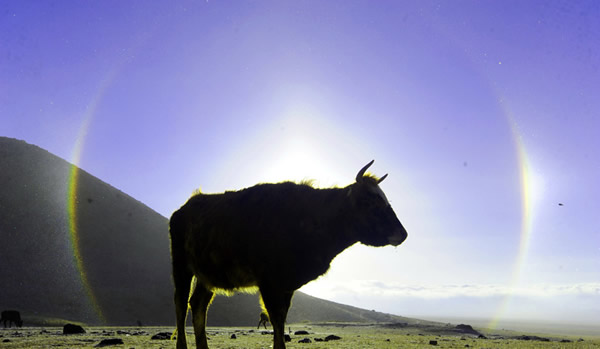 �½�������³�˴��ԭ�����������