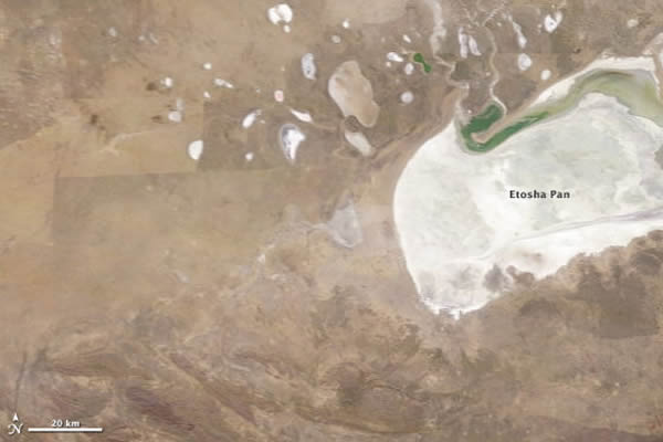 上面的第一幅照片显示了公园管理人员燃起大火之前的景象。