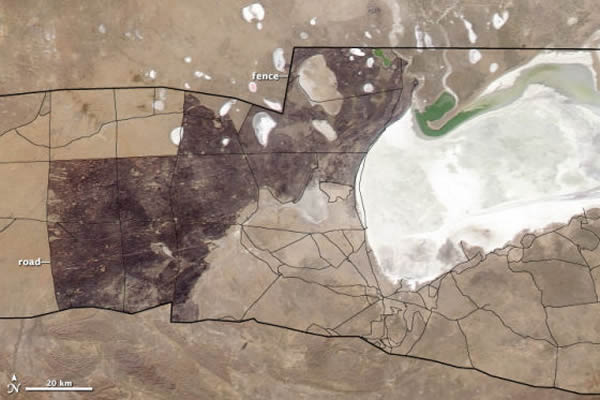 第三幅照片显示该地区在6月16日的景象,这时大火已经被扑灭。在第三幅照片中可以看到,烧伤地带的边缘很整齐,因为它们是作为防火线的道路和围栏。