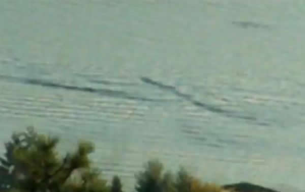 加拿大奥根娜根湖水怪出没?