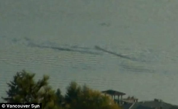 加拿大奥根娜根湖水怪出没?