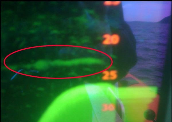 尼斯湖底声纳探测到大型蛇状生物