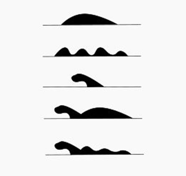 目击者描述的水怪形象