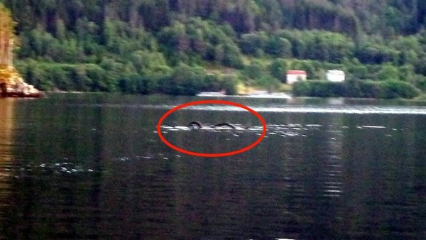 Ų������������֡�����