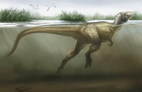 肉食恐龙游泳复原图
