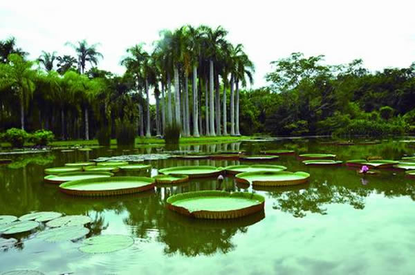 �п�Ժ��˫�����ȴ�ֲ��԰