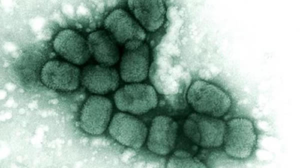 �ﶻ�����ܹ���������֮�䴫������Ϊһ������ɱ��������ʹ�÷ǳ��ֲ���