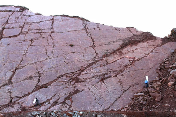 考察队员在化石点考察