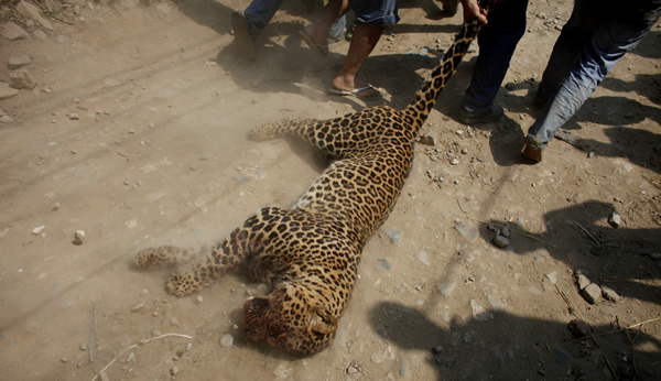 �Ჴ���Ա�ҧ��15�˱�����