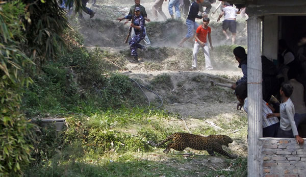 �Ჴ���Ա�ҧ��15�˱�����