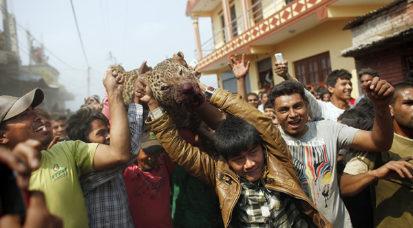 �Ჴ���Ա�ҧ��15�˱�����