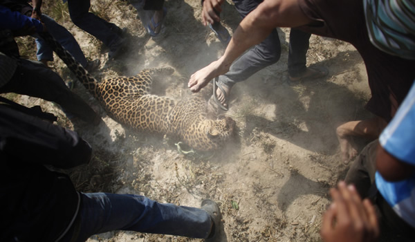 �Ჴ���Ա�ҧ��15�˱�����