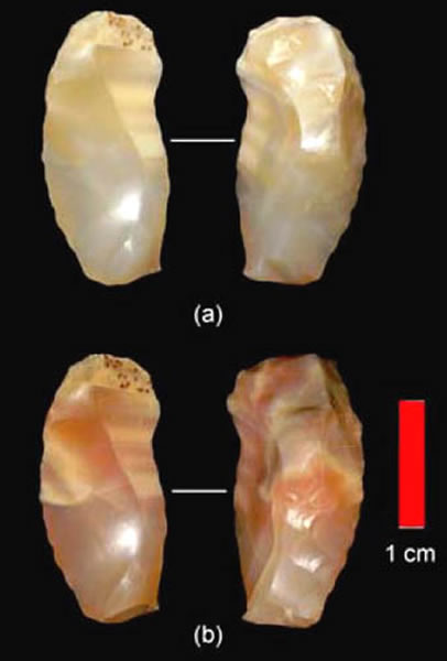 室内实验燧石标本热处理前后对比:(a)热处理前,(b)热处理后。(周振宇供图)