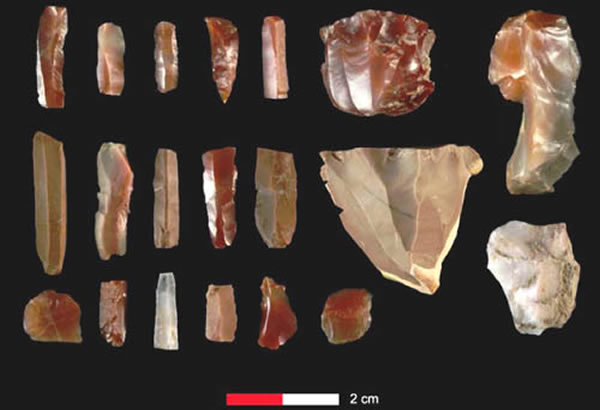 水洞沟12号地点热处理石制品。(周振宇供图)