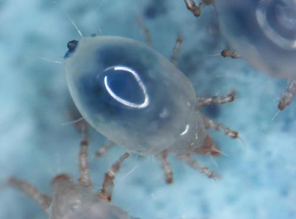 �����������������ȫ��Ӧ�������µ������