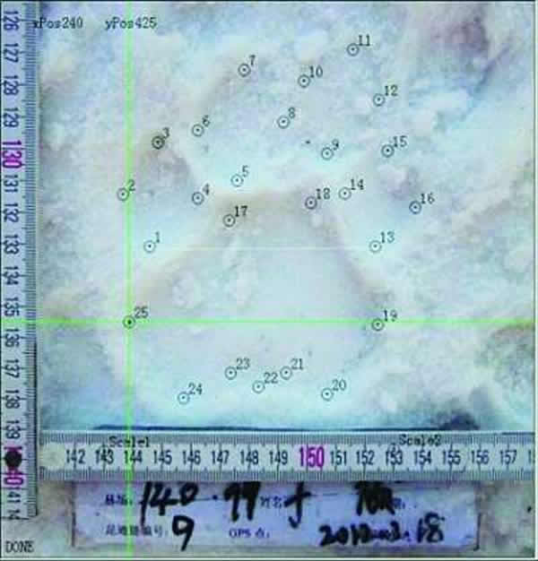 东北虎足印数据分析图