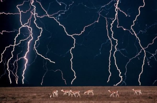 �о���Ա���֡��ڰ����硱�ɶԳ˿ͺͷ���Ա������������