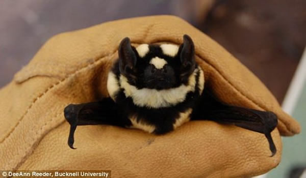 这项发现被称为“千载难逢的重大发现”