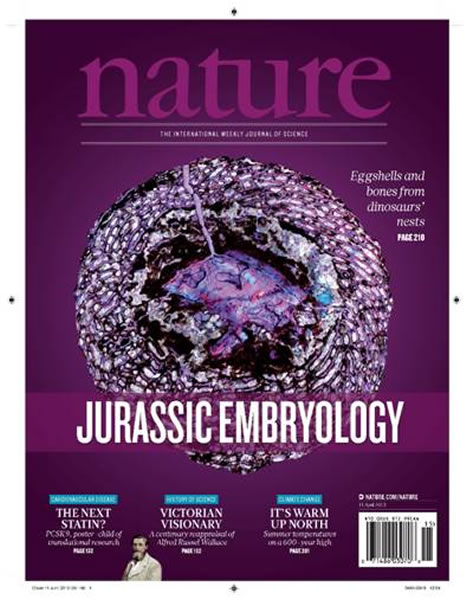 Nature赞誉两岸古生物学家恐龙胚胎合作研究成果