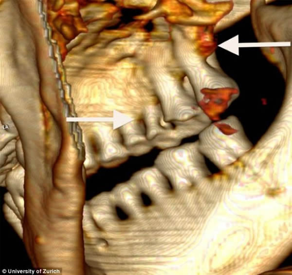 ���´ġ����ݵ���άͼ���Ҳ��ͷ��ָ��λ�ó��ֺ��������������ͷ��ָ��λ�þʳ���Χ������������