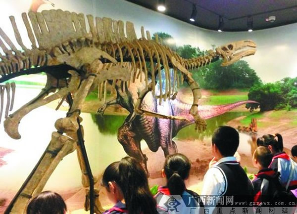 小小讲解员在广西自然博物馆内参观