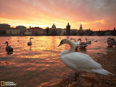 �������ߺ��ϵ����