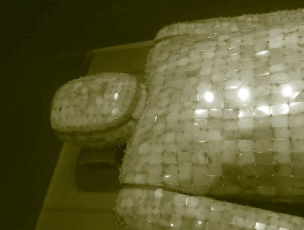 ��ʤ�Ľ�������