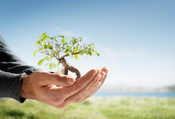 人类活动对生物多样性的影响