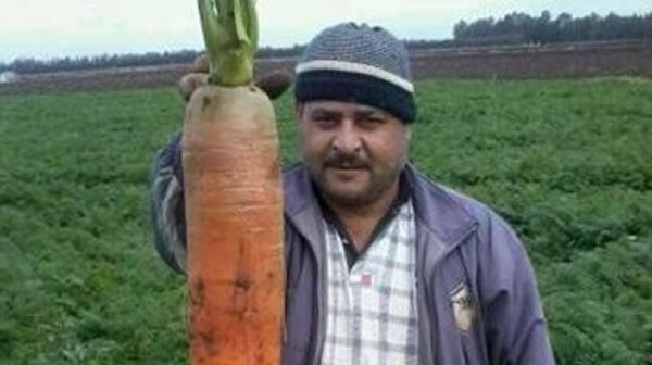 �����ũ���ֳ����������ܲ�