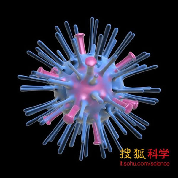 H7N9øӦϸ