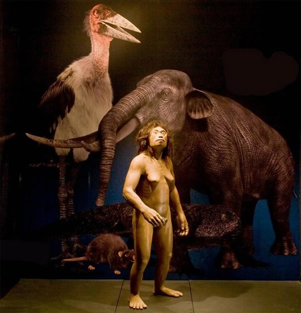 ��ѧ���������и����֤��֤ʵ����������һ�ֶ��ص���������