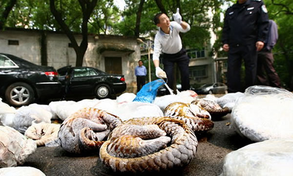 416գʡɭֹչʾɻơɽ׵