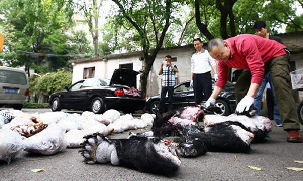 416գʡɭֹչʾɻơɽ׵