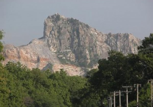 全球各地的石炭岩生态系统目前以惊人的速度递减,意味着彩虹蜗牛栖息的生态环境正逐渐失去生物多样性资源