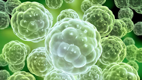 ǰ��������ڶ�ϸ����������������ͼ