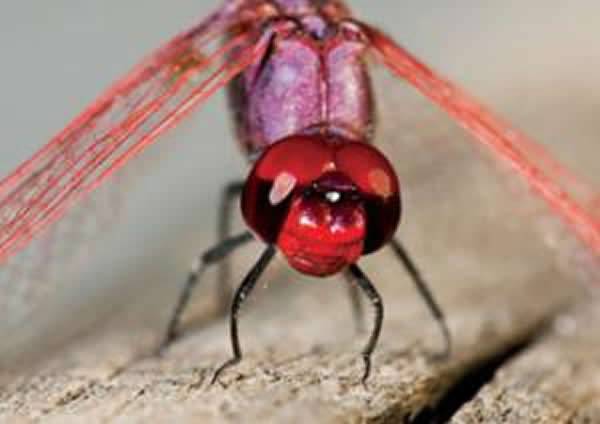 �о��ơ����ծ�񡱵��±�Σ���ֱؽ�����