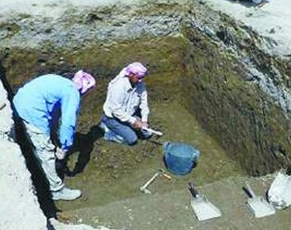 ϲڶųǸھ4000ǰۺϽ