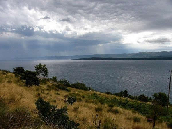 ���޵��Ǻ���������