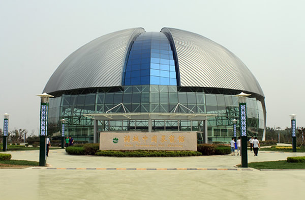 诸城中国暴龙馆