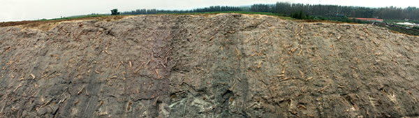 恐龙涧化石长廊